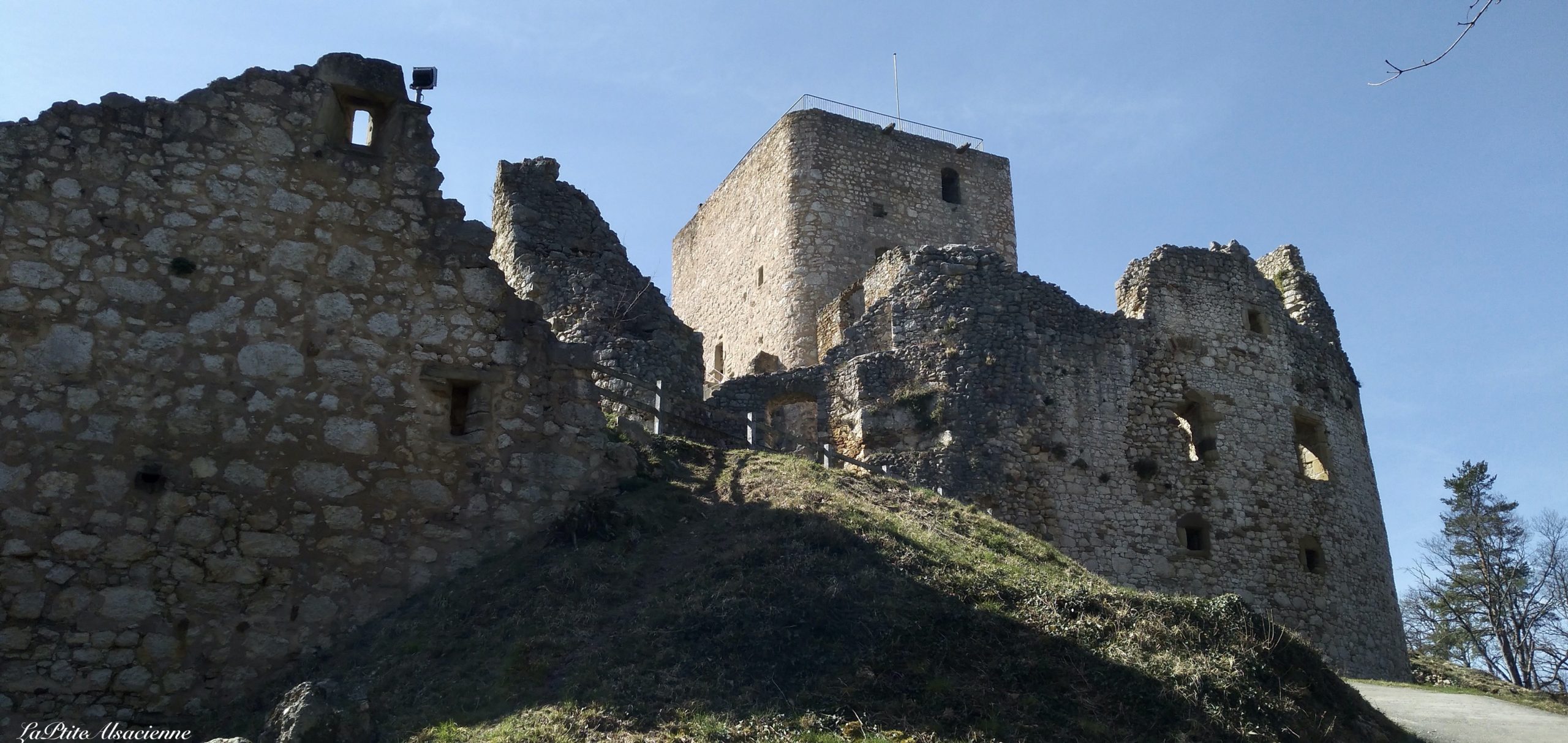 Ruines du Château de Landskron à Leymen