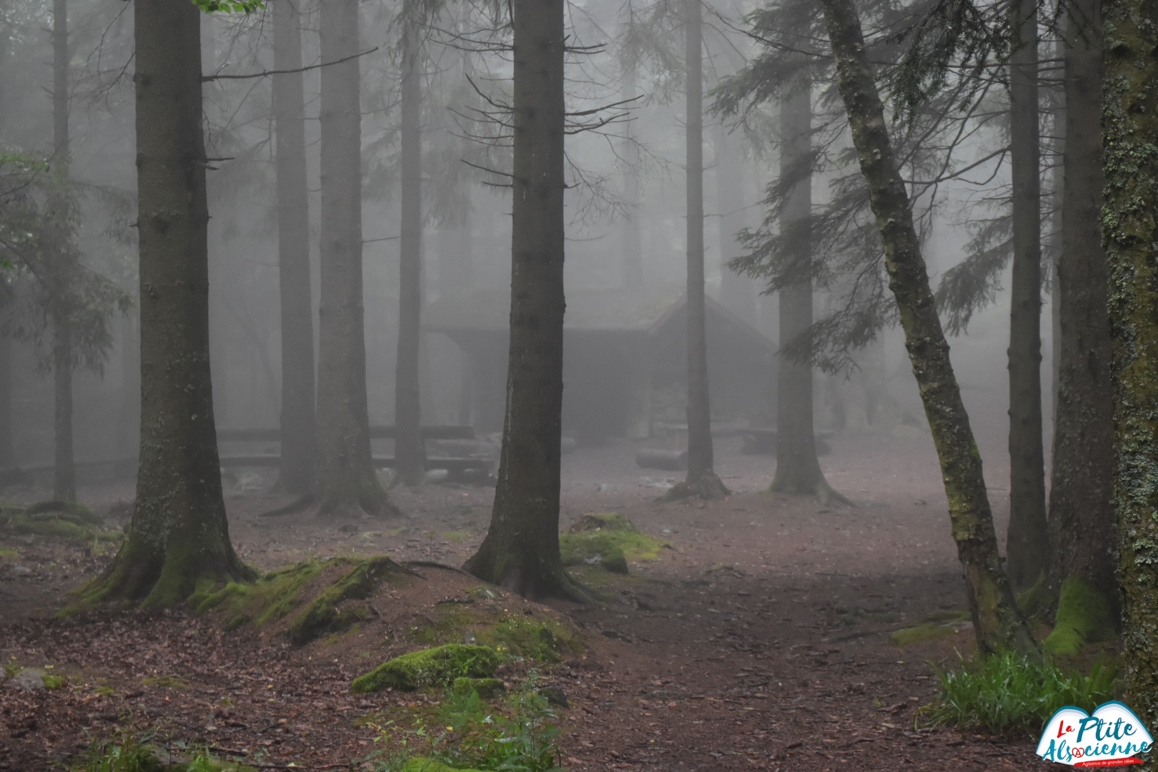 Abri Kutzig Buech Taennchel sous le brouillard