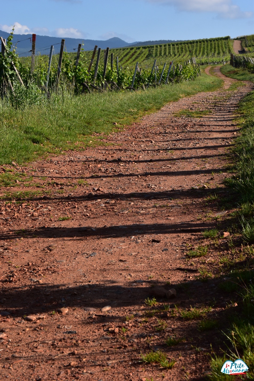 Chemin en terre, sur la colline du Bollenberg à Orschwihr