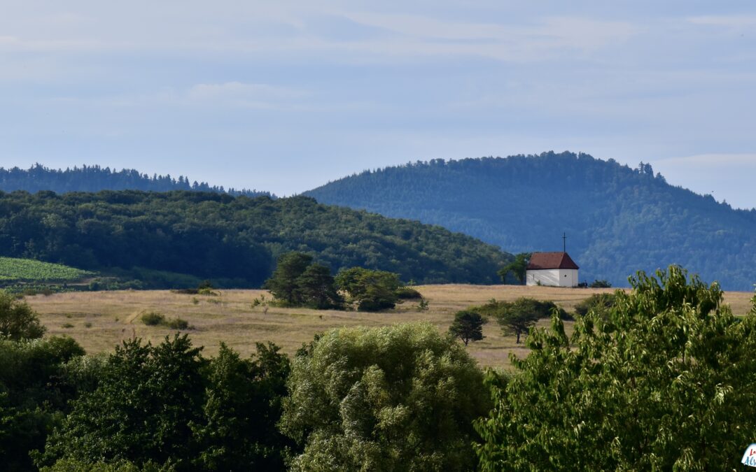 Colline du Bollenberg, entre Orschwihr et Soultzmatt et Rouffach en Alsace