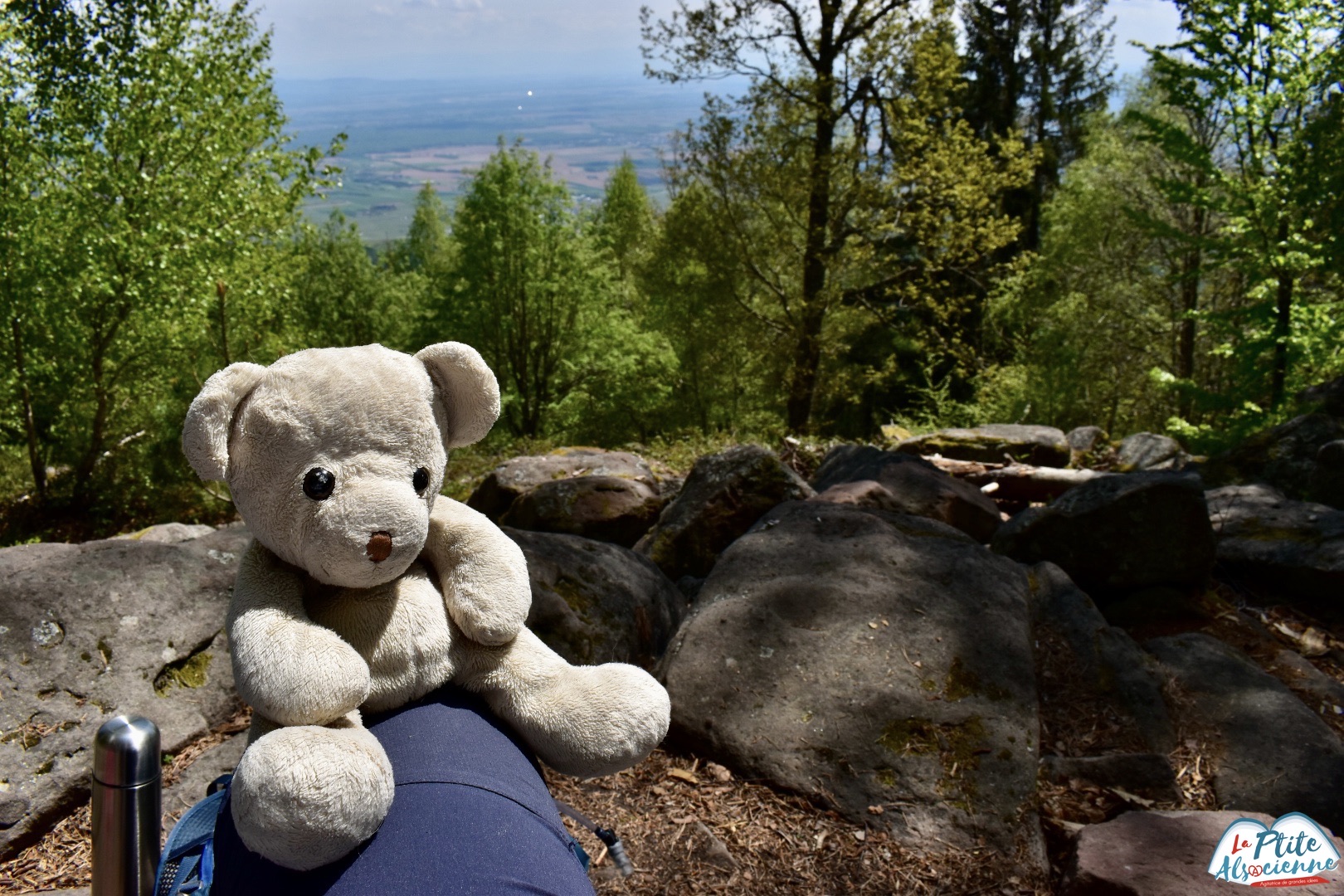 Rocher de la Paix D'udine Doudou Sans Nom sous le rocher - Taennchel