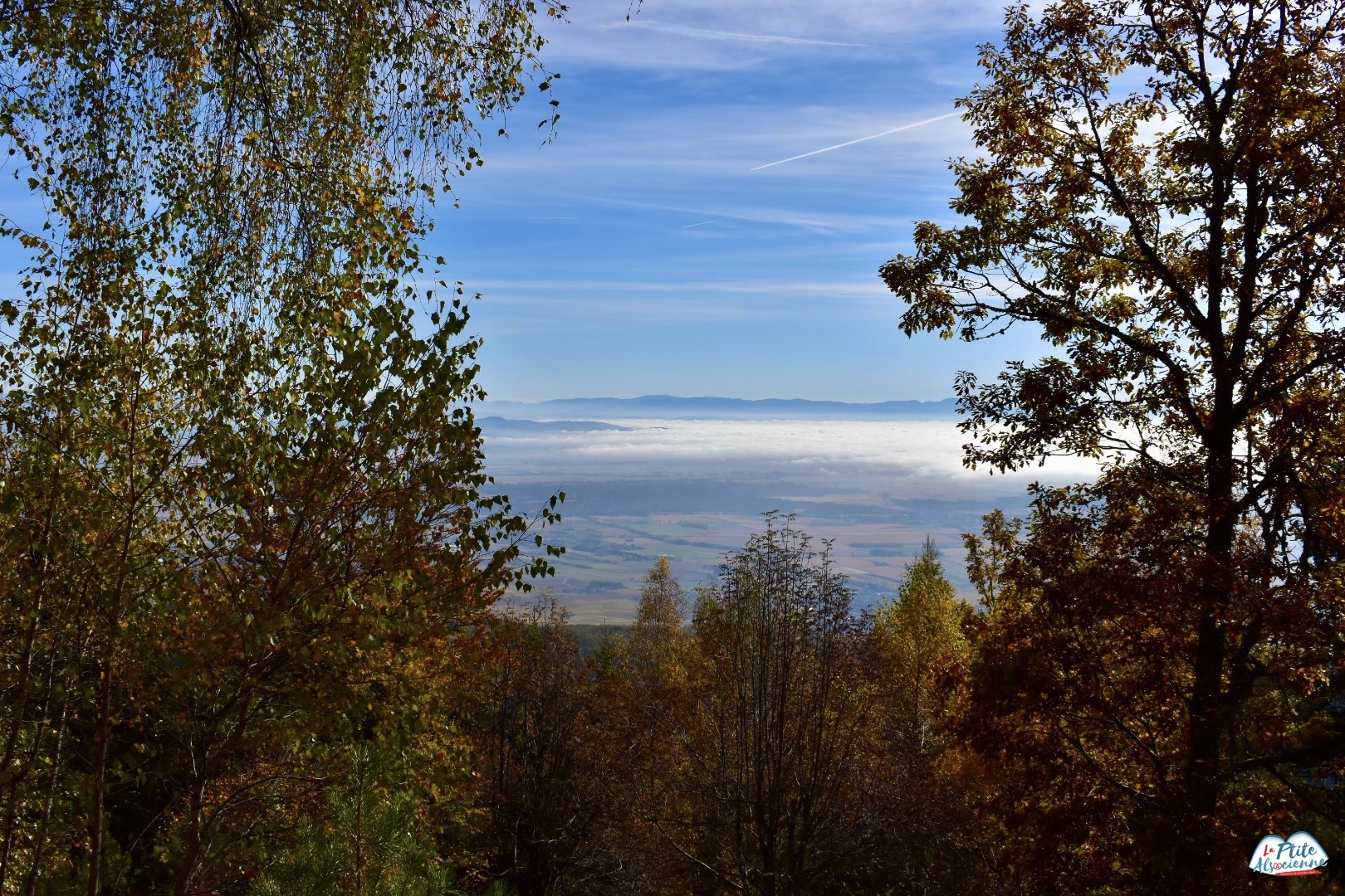 Rocher de la paix d'udine vue sur la plaine d'alsace