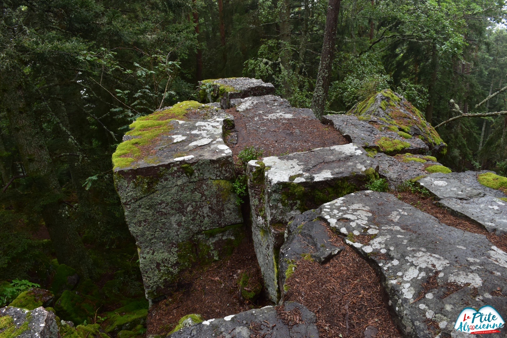 Rocher des Titans sous la pluie, Taennchel entre Thannenkirch et Ribeauvillé