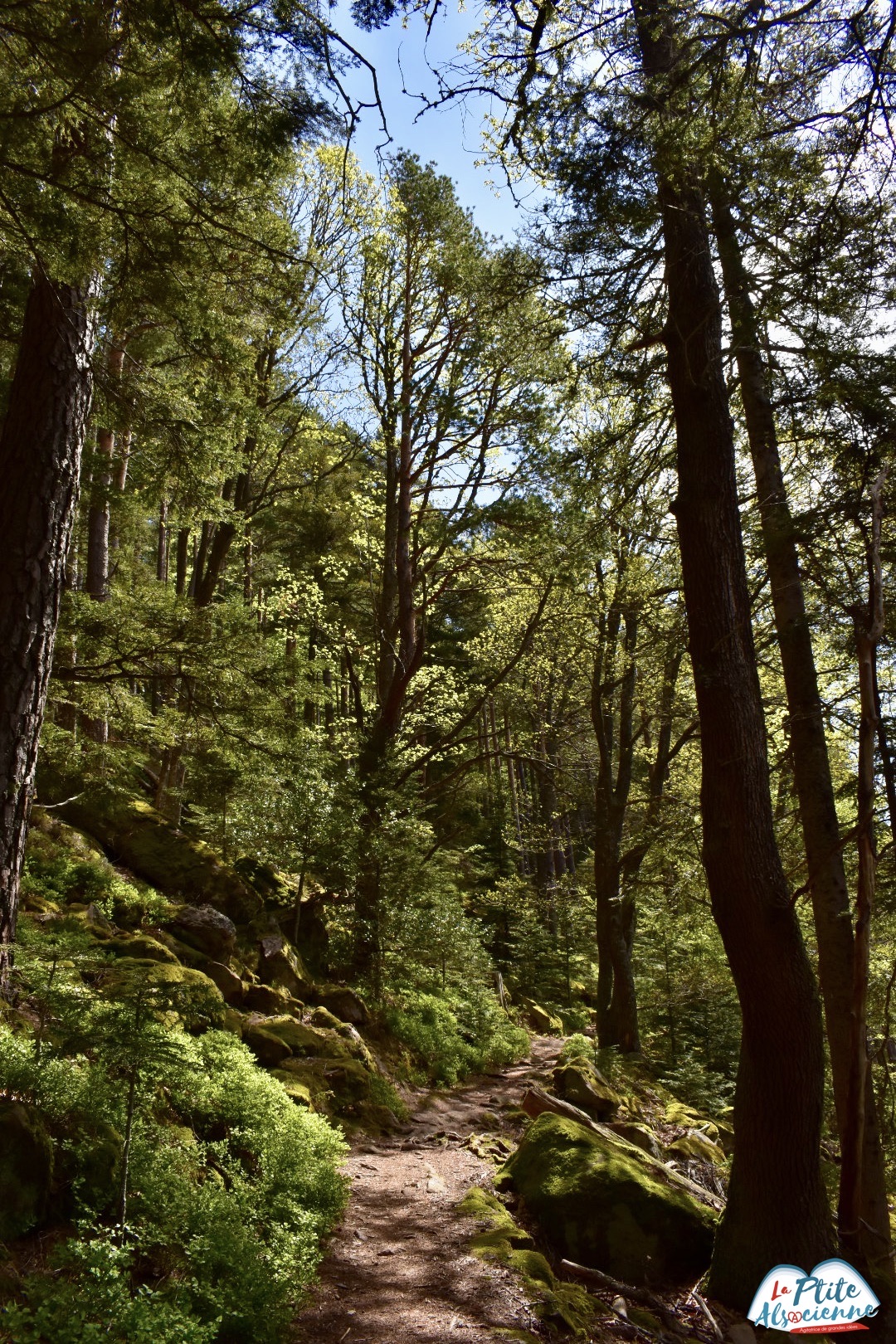 Sentier paix d'udine Taennchel Par Cendrine Miesch