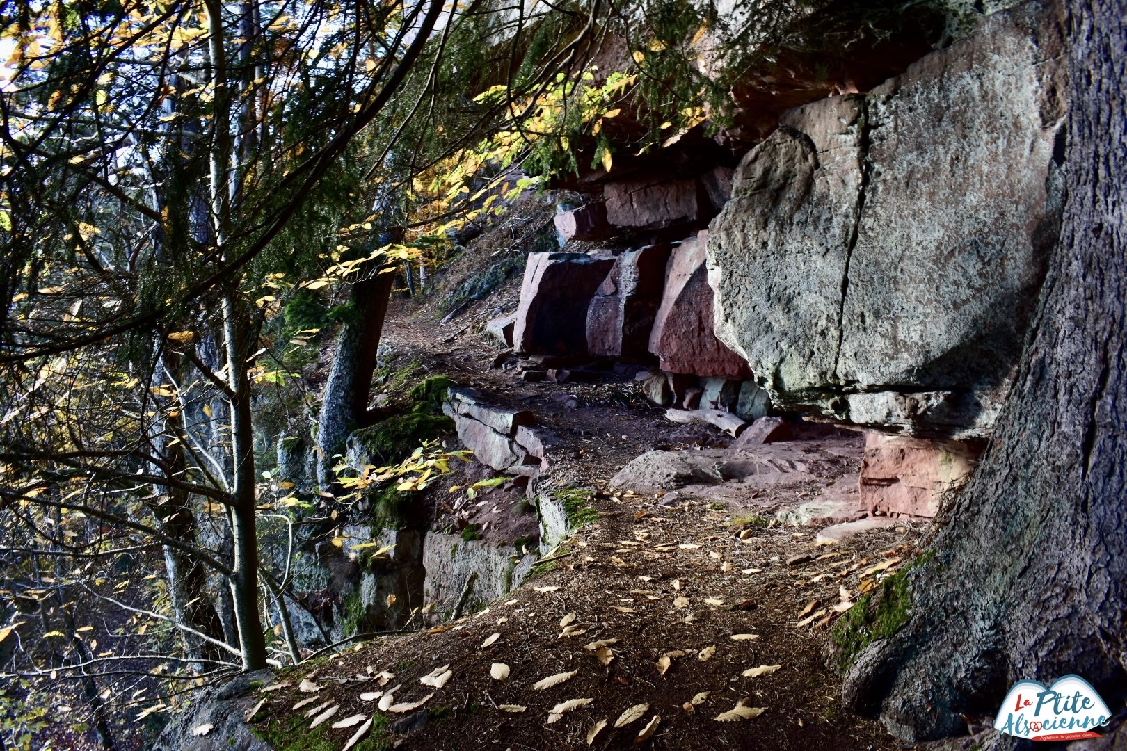 Sentier qui mène au Kützig Buech depuis la source des corbeaux