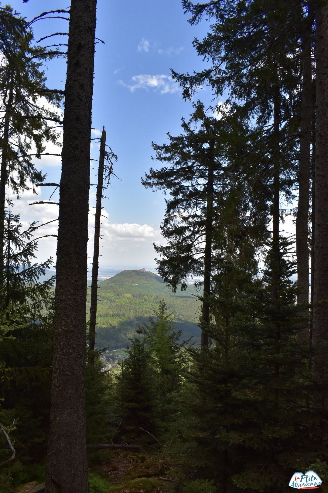 Vue sur le Haut Koenigsbourg depuis le Taennchel par Cendrine Miesch