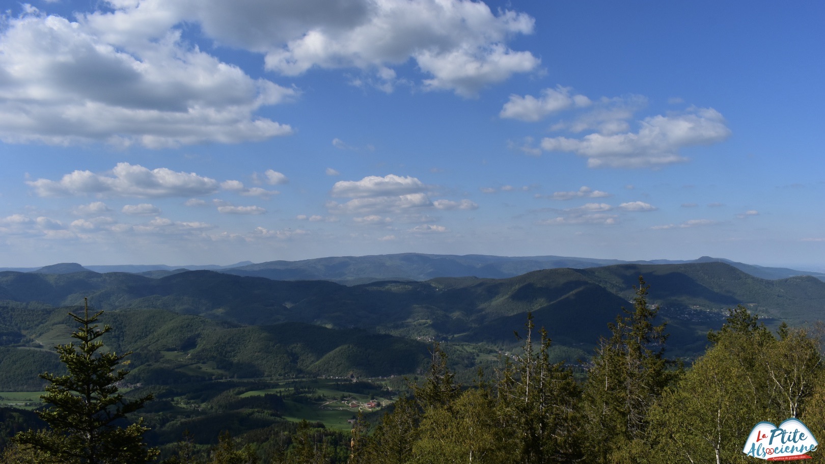 Vue sur le nord alsace et les vosges alsaciennes depuis le rocher des reptiles au Taennchel  par Cendrine Miesch