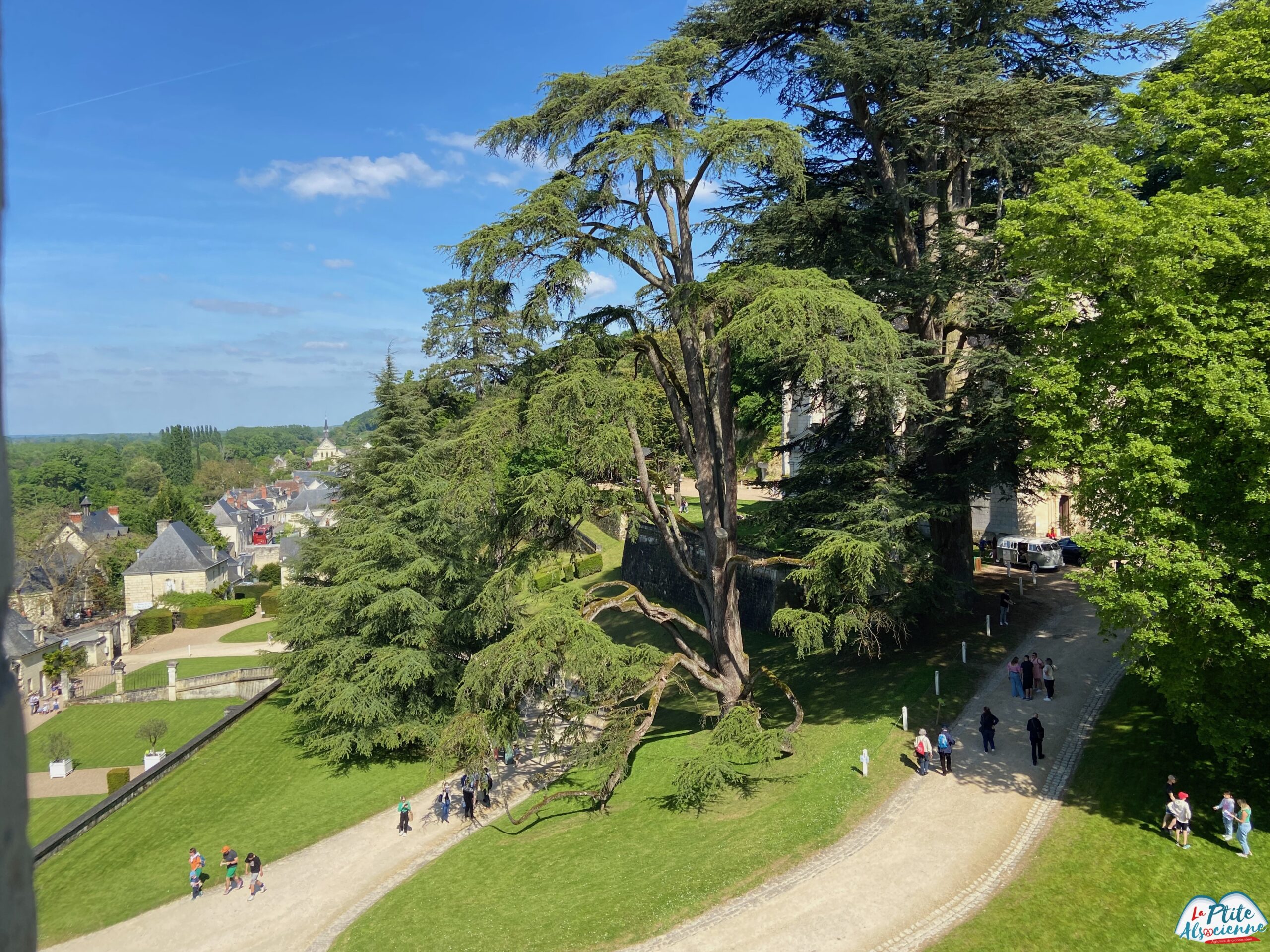 Vue sur une partie du jardin du château d'Ussé, ainsi que des arbres remarquables. Photo par Cendrine Miesch