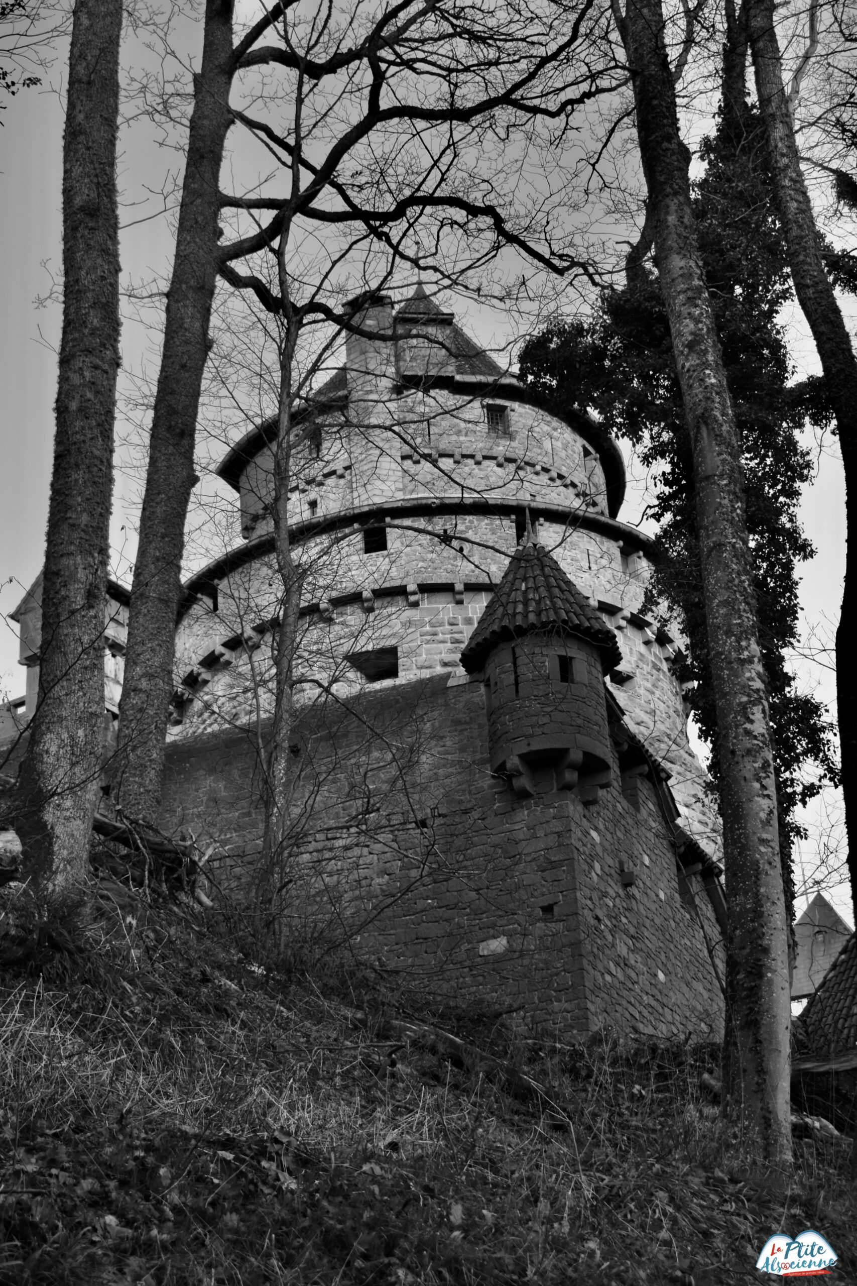 Promenade autour du château du haut koenigsbourg - Photo en noir et blanc de Cendrine MIESCH