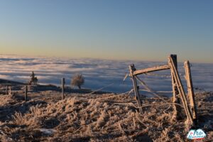 Photo prise en janvier 2025 lors d'un lever de soleil non loin du Grand Ballon